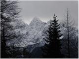 Srednji Vrh - Jureževa planina